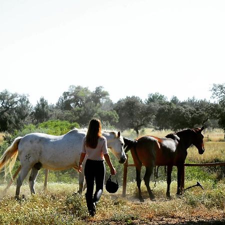 فندق Quinta Da Saudade بونتي دي سور المظهر الخارجي الصورة