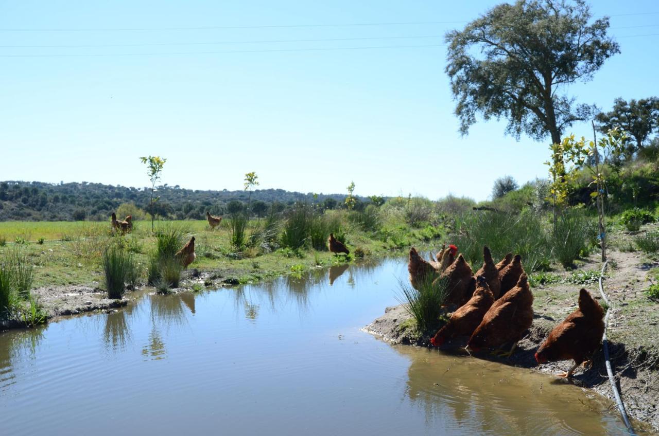 فندق Quinta Da Saudade بونتي دي سور المظهر الخارجي الصورة