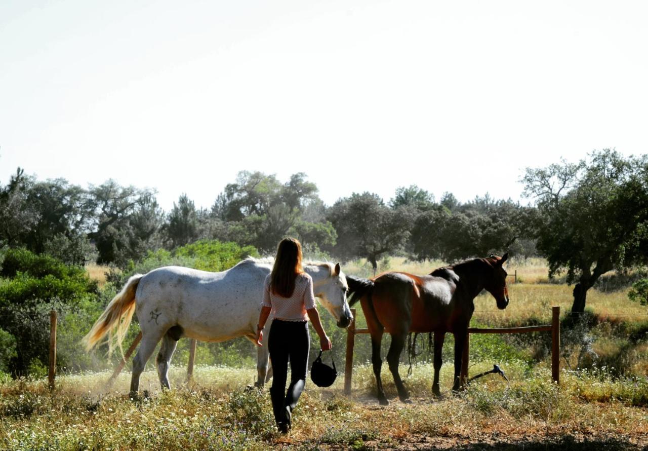فندق Quinta Da Saudade بونتي دي سور المظهر الخارجي الصورة